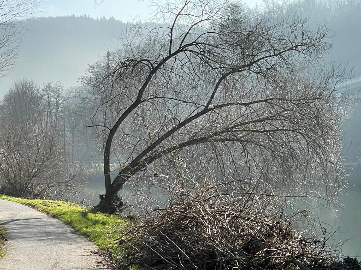 Ferienwohnung Bei Bad Ems Im Lahntal Fachbach Esterno foto