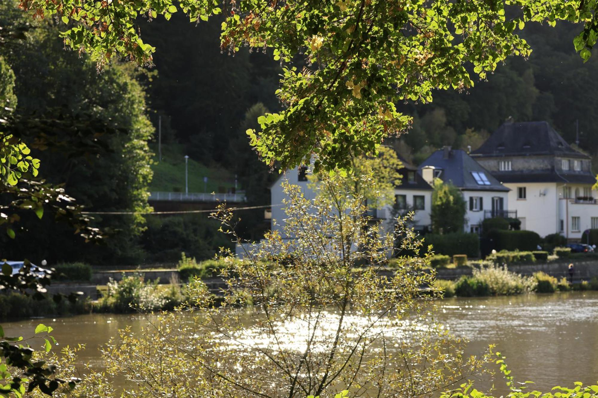 Ferienwohnung Bei Bad Ems Im Lahntal Fachbach Esterno foto